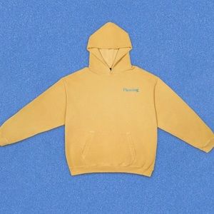 Pleasing | The Sunset Hoodie | Harry Styles | New Without Tags | Authentic